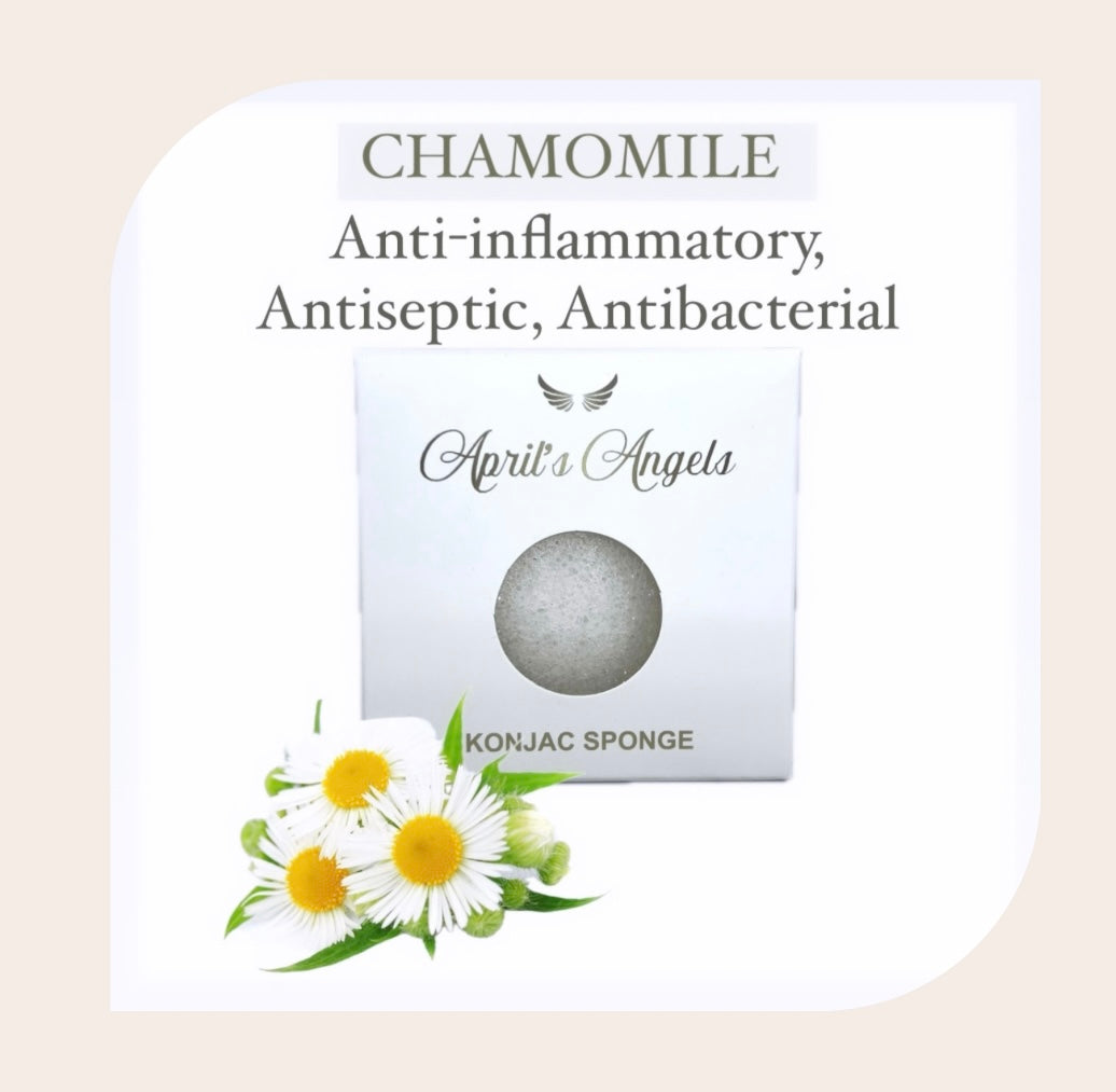 AMINO-ACID CLEANSER & ORGANIC KONJAC SPONGE BUNDLE