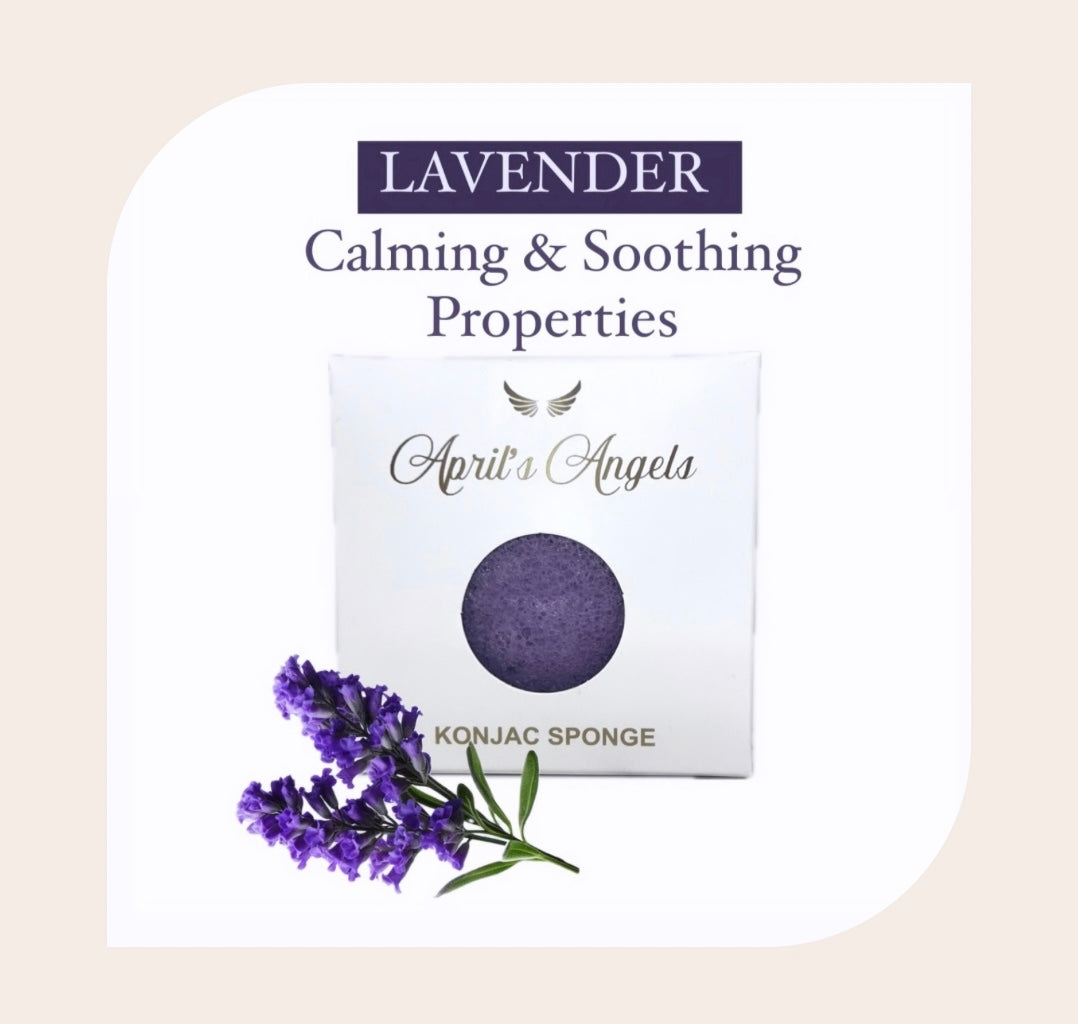 AMINO-ACID CLEANSER & ORGANIC KONJAC SPONGE BUNDLE