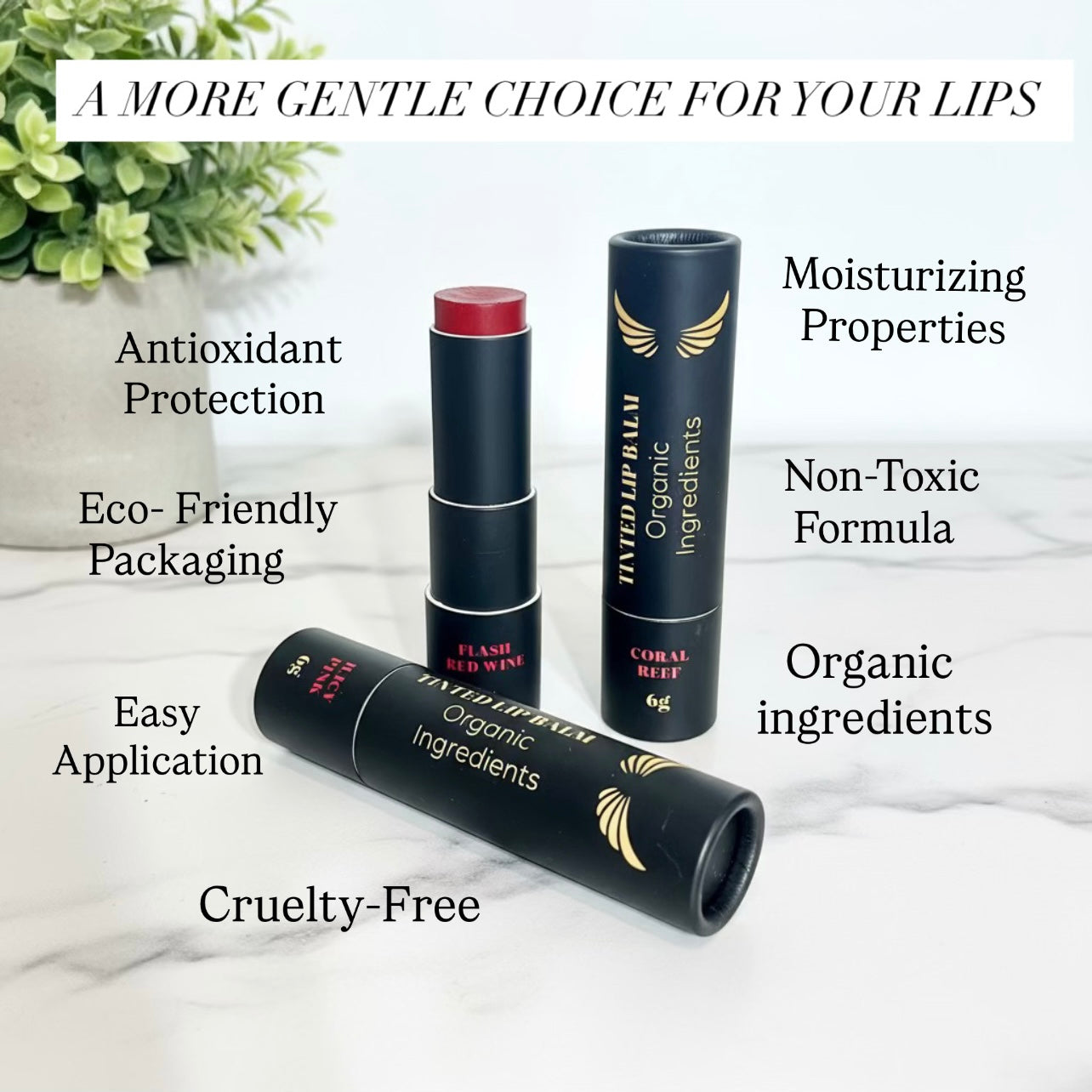 THE PERFECT LIP CARE TRIO (3 pcs)